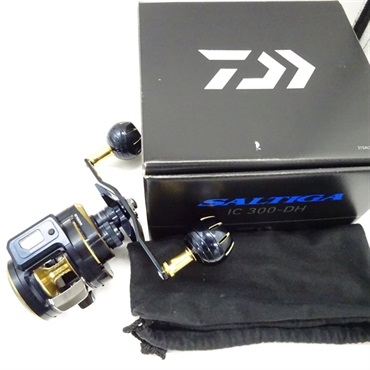 ２３ソルティガＩＣ３００ーＤＨ
